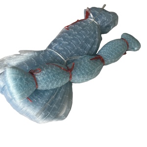 Redes de Pesca de Nailon Monofilamento, Precio de Fábrica, Japón, Tailandia, Red de Pesca de Enmalle, Proveedor de Redes Misina - Product Image 5