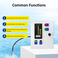 Sonde 16-21,5 mm 4-20 mA Piezomètre hydrostatique en acier inoxydable Capteur de niveau d'eau submersible Transmetteur pour puits profond