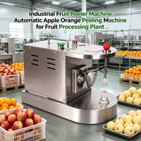 Industriële automatische fruit-schilmachine voor appels en sinaasappels voor fruitverwerkingsbedrijven