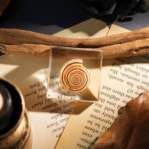 Hochwertiger, konservierter Taxidermie-Meereslebewesen-Briefbeschwerer: Echte Garnelen und Fische im Harzblock mit Schalen für wissenschaftliche Beobachtung - Product Image 4