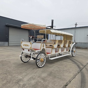 High Configuration Customized Wedding Wagon Sightseeing 14-seat White Carriage Electric Horse Carriage for Sale - Product Image 1