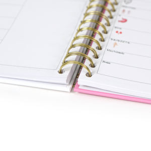 Cuadernos Personalizados para Enfermería, Libros para Enfermeras, Guía de Metas para la Escuela de Medicina, Diario, Cuaderno de Trabajo, Cuaderno Espiral Médico - Product Image 2