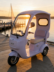 Triciclo Eléctrico de 3 Ruedas HengQiao (Homologado por DOT y EEC) Diseño Abierto de 2 Plazas, Autonomía de 50-70 km, Velocidad de 30-50 km/h, Capacidad de Subida de 25 Grados para Zonas Lacustres - Product Image 6