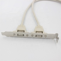 Placa base de 30cm, cable deflector de 9 pines a doble puerto USB2.0, 2,54mm, DuPont