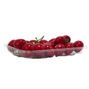 wholesale High quality Food Trays Plastic Sushi Disposable Disposable Tray