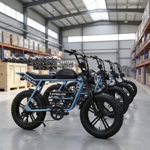 Vélo électrique chinois 48V avec frein hydraulique, pneus larges de haute qualité, directement de l'usine, pour la vente en gros internationale - Product Image 5