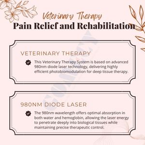 เครื่องเลเซอร์บำบัดสำหรับม้า 980 นาโนเมตร 15 วัตต์ ไดโอดเลเซอร์สำหรับอาการบาดเจ็บที่เอ็นม้า บรรเทาอาการปวดข้อ อุปกรณ์ฟื้นฟูสุขภาพสำหรับสัตว์ - Product Image 4