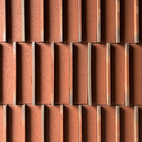 Carreaux de terre cuite rouges pour la décoration murale des devantures de magasins, carreaux muraux texturés 3D vintage pour restaurants et lieux de restauration