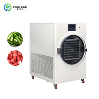 Commerciële kleine schaal voedselvriesdroogmachine vacuümlyofilisator voor fruit, snoep en huisdierenvoedselverwerking