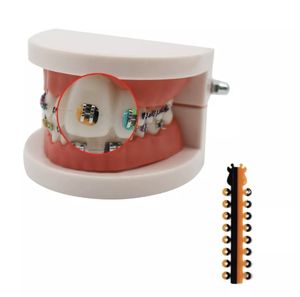 أقواس أسنان طبية من سيتشوان أم ، أقواس أسنان طبية ، مرنة بنغمتين ، - Product Image 3