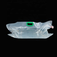 Sac en plastique d'emballage antichoc gonflable transparent personnalisé de fruits de mer vivants d'oxygène de transport express avec poignée
