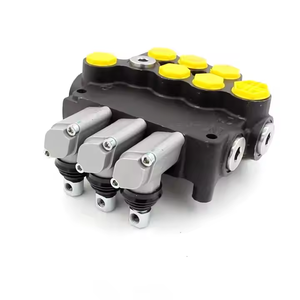 วาล์วควบคุมทิศทางไฮดรอลิก P80-G12-G34-AT-20T |   โซลูชั่นไฮดรอลิกแบบกำหนดเอง, การสร้างแบรนด์ภายใต้ชื่อแบรนด์ของผู้จ้างงาน และผู้ผลิตแบบ OEM - Product Image 1
