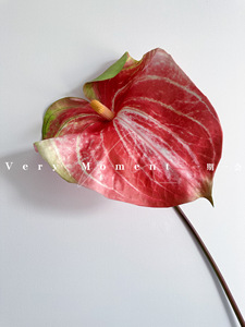 Y-H007 fiori Anthurium singolo ramo moderno gigante verde artificiale decorazione di nozze all'ingrosso fiori e piante - Product Image 6