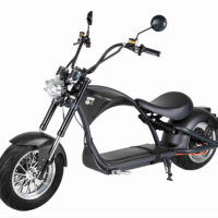 Motocicleta Eléctrica Plegable Loyal Intelligent GPS de 60V 30AH con Batería de Litio de 2000W, Resistente al Agua