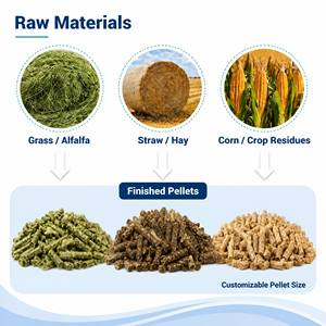 Impianto di Produzione Mangimi per Animali 3TPH, Linea di Produzione Pellet per Bestiame, Macchina per Mangimi per Pollame e Polli, Attrezzatura Chiavi in Mano - Product Image 4