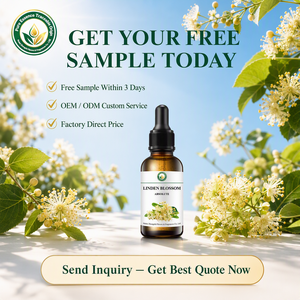 Absolue naturelle de fleur de tilleul (Tilia Cordata) pour parfums, cosmétiques, aromathérapie, bougies et savons – Parfum floral apaisant et relaxant - Product Image 5