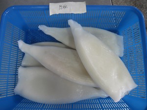 Fabricante de calamares congelados tubo de <span class=keywords><strong>calamar</strong></span> congelado todarodes Pacificus <span class=keywords><strong>calamar</strong></span> gigante congelado Perú - Product Image 5
