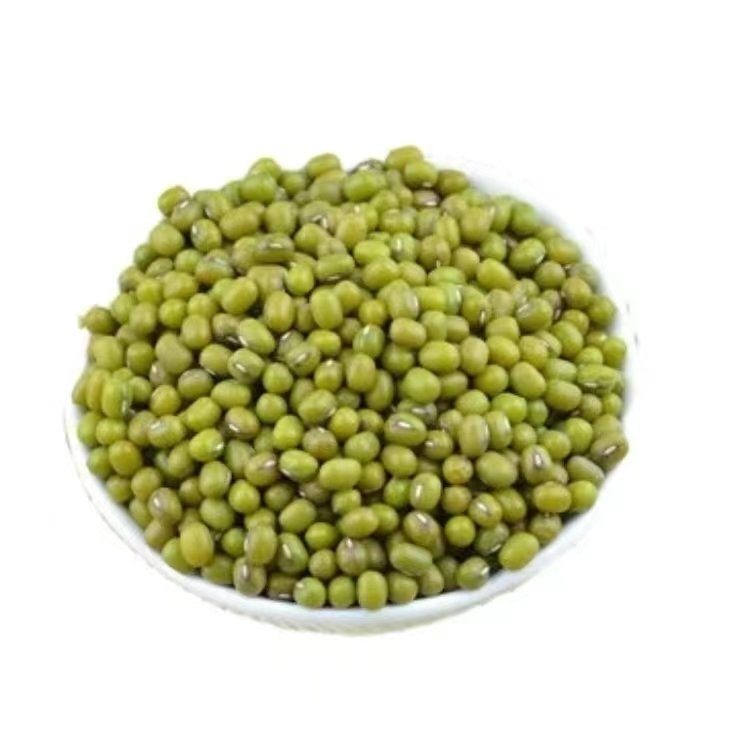 Mung beans can germinate with good quality and are suitable for making cakes.