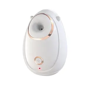 Venda quente Portátil Nano Face Steamer Professional Spa Face Set Névoa Ionic Steamer Multi-função Máquina