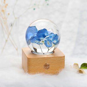 Feliz Año Nuevo Producto <span class=keywords><strong>San</strong></span> Valentín Día de <span class=keywords><strong>San</strong></span> Valentín Regalo de cumpleaños para dama de honor Su novia Esposa Diente De León Rosa Flor Luz - Product Image 3