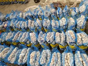 Proveedor de Ajo Chino, Ajo al por Mayor, Ajo Fresco, Vegetales, Exportador de Ajo en China, Ajo/Ajo Fresco - Product Image 4