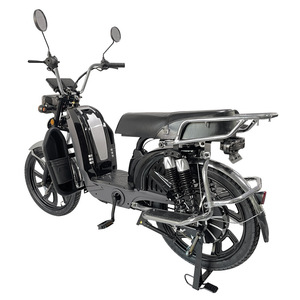 Vélo électrique domestique de 20 pouces, 800 W, batterie au lithium 60 V, moto - Product Image 4