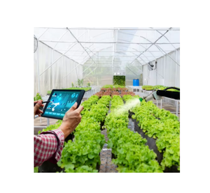 Invernadero Agrícola Inteligente Grande de Doble Capa de PE con Tecnología Hidropónica para Cultivar Plantas de Lechuga <span class=keywords><strong>y</strong></span> Ensalada - Product Image 1