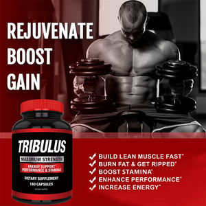 Hot Selling Kräuter kapseln Tribulus Terrestris Kapseln Energy Booster mit Östrogen blocker Erhöhen Sie die Muskelmasse für Männer - Product Image 4