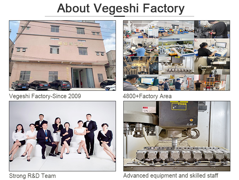 Jiangmen Vegeshi Sanitary Ware Technology Co., Ltd. logo