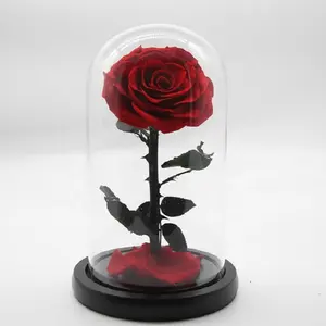 Perfect Valentines Day gifts preserved rose flower in glass dome box everlasting roses in glass dome preserved roses