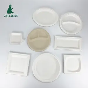 China Factory Biodegradable Disposable Takeaway Dinnerware Sugar Cane Paper 4 6 7 8 9 10 12inch Plates Platter Sugarcane Bagasse
