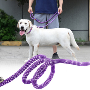 Correa de Nailon Morada para Perro con Asa Trenzada, Estilo Simple y Duradero para Perros Medianos - Product Image 4