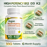 OEM Vegan Multivitaminen en Mineralen Capsules 6 Maanden Voorraad Private Label Voedingssupplementen Fabrikant