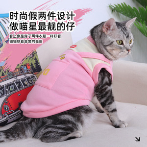 Nouvelles tenues chaudes pour chats automne/hiver, sweat-shirt pour chien, faux deux-pièces, gilet coupe-vent en fausse fourrure courte style dessin animé pour chats. - Product Image 2