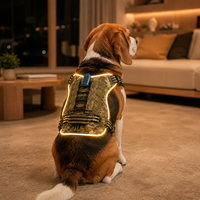 Harnais pour chien Qcool avec contrôle par traction, rembourrage en maille souple, bande réfléchissante, coutures renforcées, pour promenade nocturne, nouveau design ODM, LED