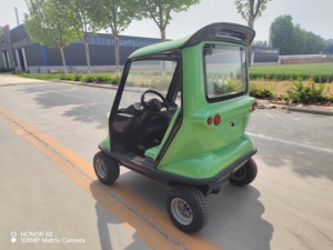 Ultima Novità: Auto Elettrica a Forma di Orso per Parchi di Divertimento, Prodotto di Tendenza nella Categoria Autobus e Auto - Product Image 5