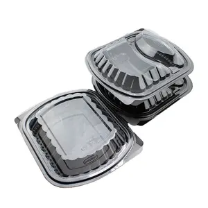 Blister Container Packaging Plastic Divided Compartments Disposable Containers Lunch Box Disposable Takeaway Boxes For Food