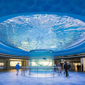 Akuarium Akrilik Ruang Tamu Rumah, Tangki Ikan Laut Besar 200 Galon Akuarium - Product Image 4