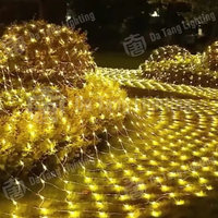 Luces de red para interiores/exteriores para sitios turísticos y rutas nocturnas, color personalizado, cobertura flexible, IP65