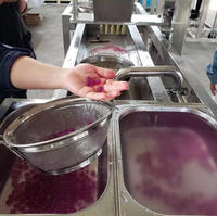 Machine de fabrication de boules de Konjac en acier inoxydable, prix d'usine
