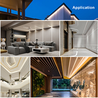 Guirlande lumineuse néon ultra-fine et sans points lumineux, étanche IP67, haute luminosité, pour la décoration de fêtes, mariages, vacances, festivals et événements