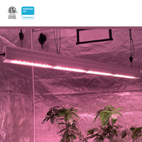 Lampu LED Tanam 200W Modul untuk Pertanian Dalam Ruangan Hidroponik Rumah Kaca Spektrum Penuh IP65 Tahan Air Peredupan 0-10V Sistem Daisy Chain