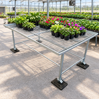 Banc de serre mobile à roulettes pour pépinière, à simple niveau, en treillis métallique, avec structure en acier galvanisé, pour jardin domestique, personnalisable OEM