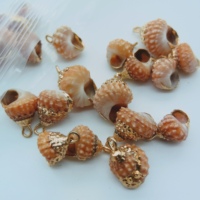 Berbagai Liontin Kerang Pantai Scallop Baru yang Cantik, Gaya Conch, Berlapis Emas Alami, Liontin Kerang Kecil Nan Indah, Manik-Manik Kerang Kecil Nan Menawan