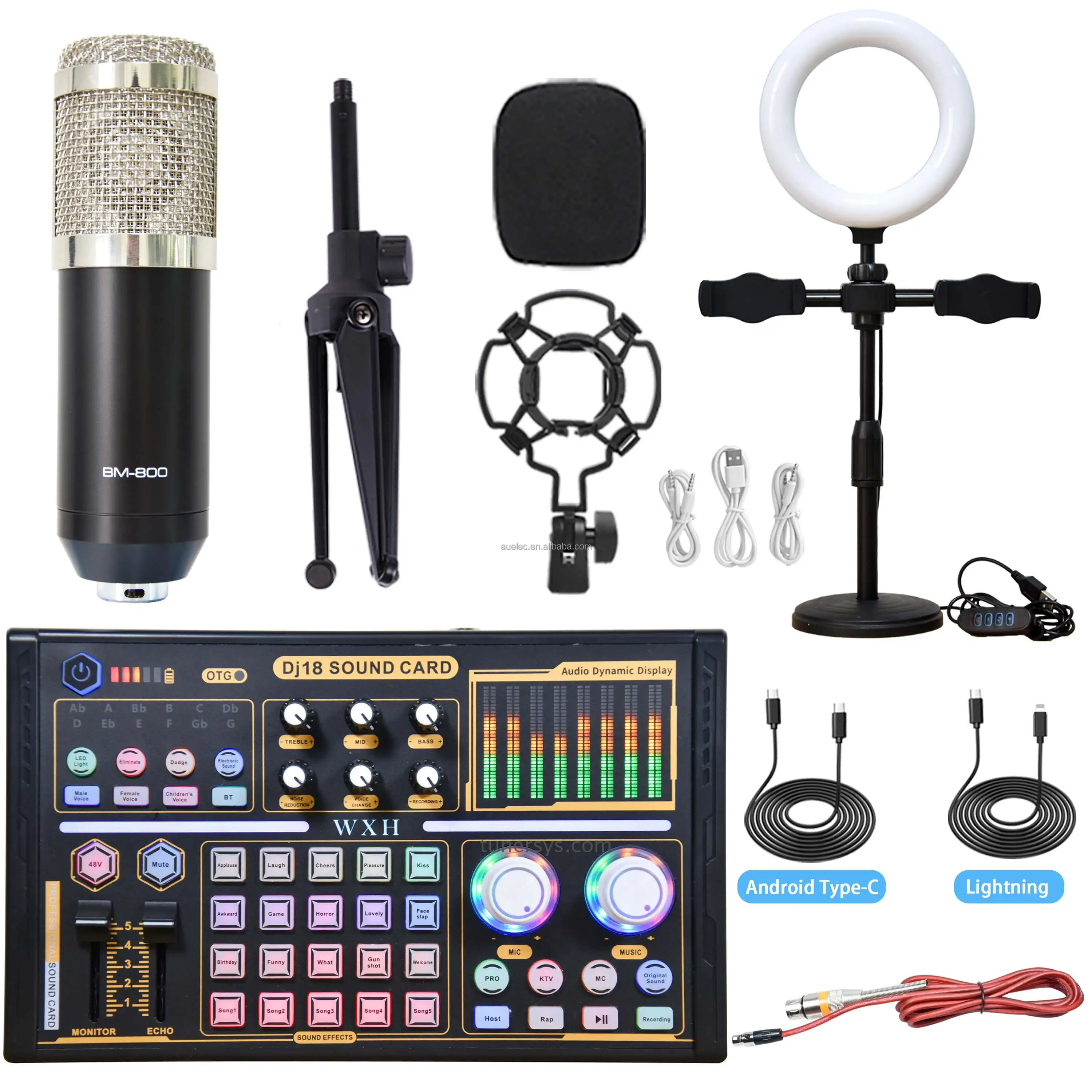 Opname Studio Geluidskaart Audio Interface Microfoon Kit Podcast Apparatuur Opname Handheld Microfoon Met Geluidskaart