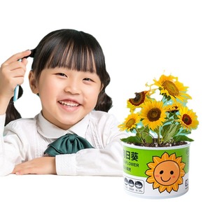 Planta de girasol en maceta para niños, decoración de escritorio interior, diseño de dibujos animados, regalo - Product Image 1