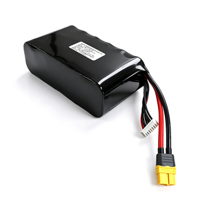 HOZHM High-power 6S2P 10Ah 222Wh Portable Power Station Output High Capacity Semi-solid State 800-Cycle IN - Product Image 6