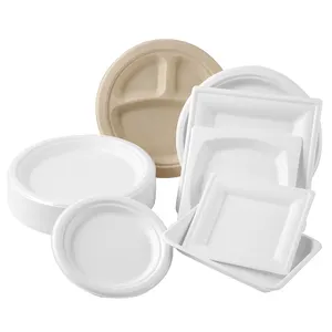 2024新しいトレンド環境にやさしいレストランバガスパルプ食器9 "生分解性使い捨てサトウキビ紙皿使い捨て