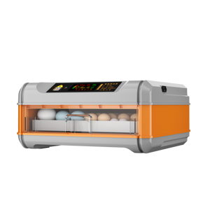 Zhenghang cep 128 yumurta kuluçka makinesi kullanımı kolay sıcak satış 2021 - Product Image 5
