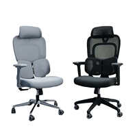 Chaise de bureau ergonomique multifonctionnelle en maille Boss avec support lombaire, repose-pieds et accoudoirs 4D - Idéale pour le bureau à domicile et la chambre